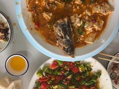 -煲来饱去冷水鱼