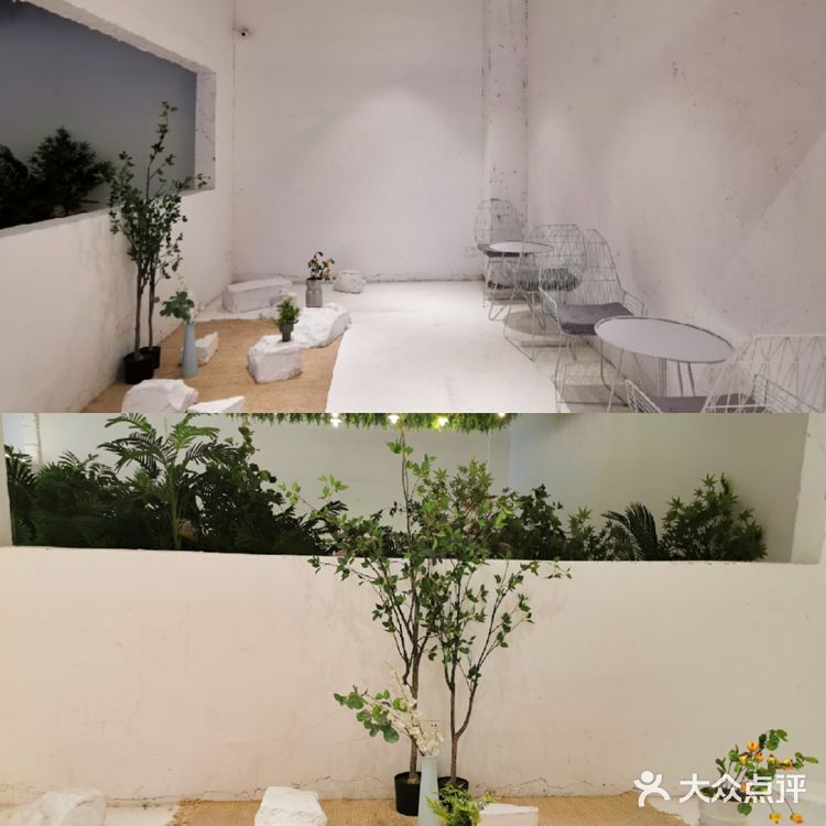 🧡魔都首家花草系列咖啡厅|连迪丽热巴都夸奖的一家神仙颜值咖