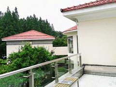 -棕榈岛海鲜自助餐厅(虹桥迎宾馆店)