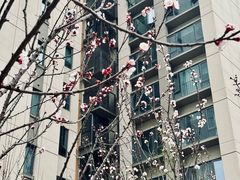 -华润·二十四城