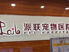 -派联宠物医院·24h·CT·异宠