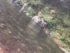 -怪潭漂流