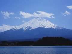 -大塘金香草谷