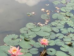 -深圳国际园林花卉博览园