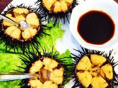 海胆-千禧福海鲜馆