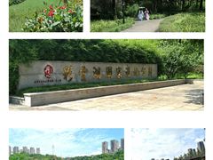 -重庆彩云湖湿地公园