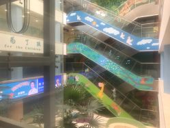 -上海浦滨儿童医院