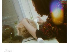 -有猫主题·治愈系猫咖(曾厝垵店)