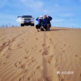 蚂蚁森林小树苗我来啦[调皮]