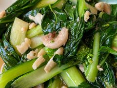 油渣炒菜心-秋色客家菜(流塘店)