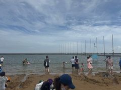 -碧海金沙