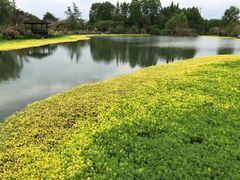 -桤木河湿地公园