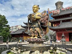-上海东林寺(金山区)
