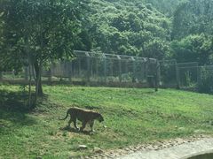 -西安秦岭野生动物园