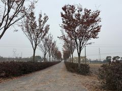 -嘉北郊野公园