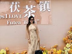 -茯茶镇