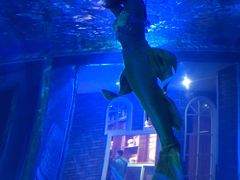 -成都浩海立方海洋公园