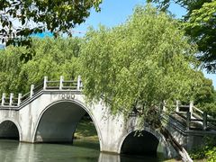 -贡湖湾湿地公园