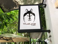 -TrueLove @ Neverland (Husky Cafe)