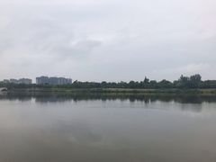 -眉山湿地公园(东坡区)