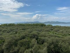 -盐洲岛