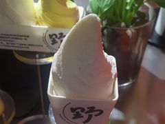 -野人先生现做冰淇淋(北京王府井东方新天地店)