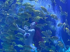 -华夏文旅海洋公园