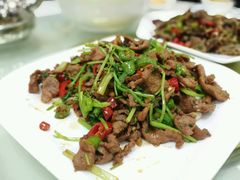 小炒黄牛肉-陕北农家宴