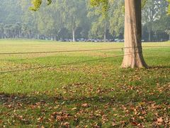 -河南省黄河迎宾馆