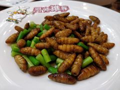 -鹊华居·地道鲁菜·海鲜·融合味(大明湖店)