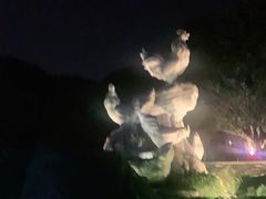 -金鸡山公园