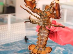 -四川小胡子海鲜(丁村万人海鲜广场店)