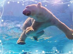 -珠海长隆海洋王国