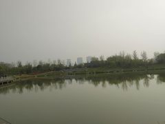 -西安世博园