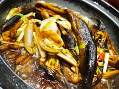 -朱桥甲鱼馆(淮海西路店)