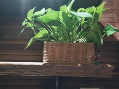 -前海沿·青岛菜(大拇指广场石老人店)