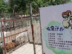 -第五季龙水凤港生态露营农场