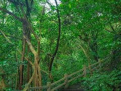 -广州市白云山风景名胜区