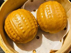 -新草堂锅物料理(泉城路店)