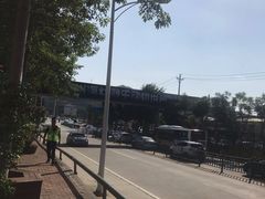 -泉州海丝野生动物世界