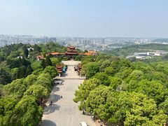 -富乐山