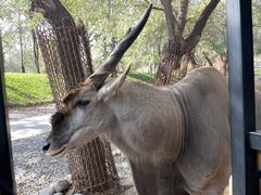 -北京野生动物园