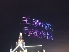-荷兰花海