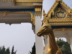 -洛阳白马寺