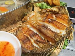 -椰小鸡·琼州糟粕醋(美兰缤纷城店)