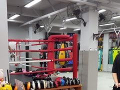 -TFC 纯泰拳馆MuayThai