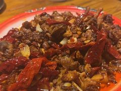 -柴窝堡22号辣子鸡·传承新疆菜