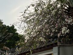 -深圳国际园林花卉博览园