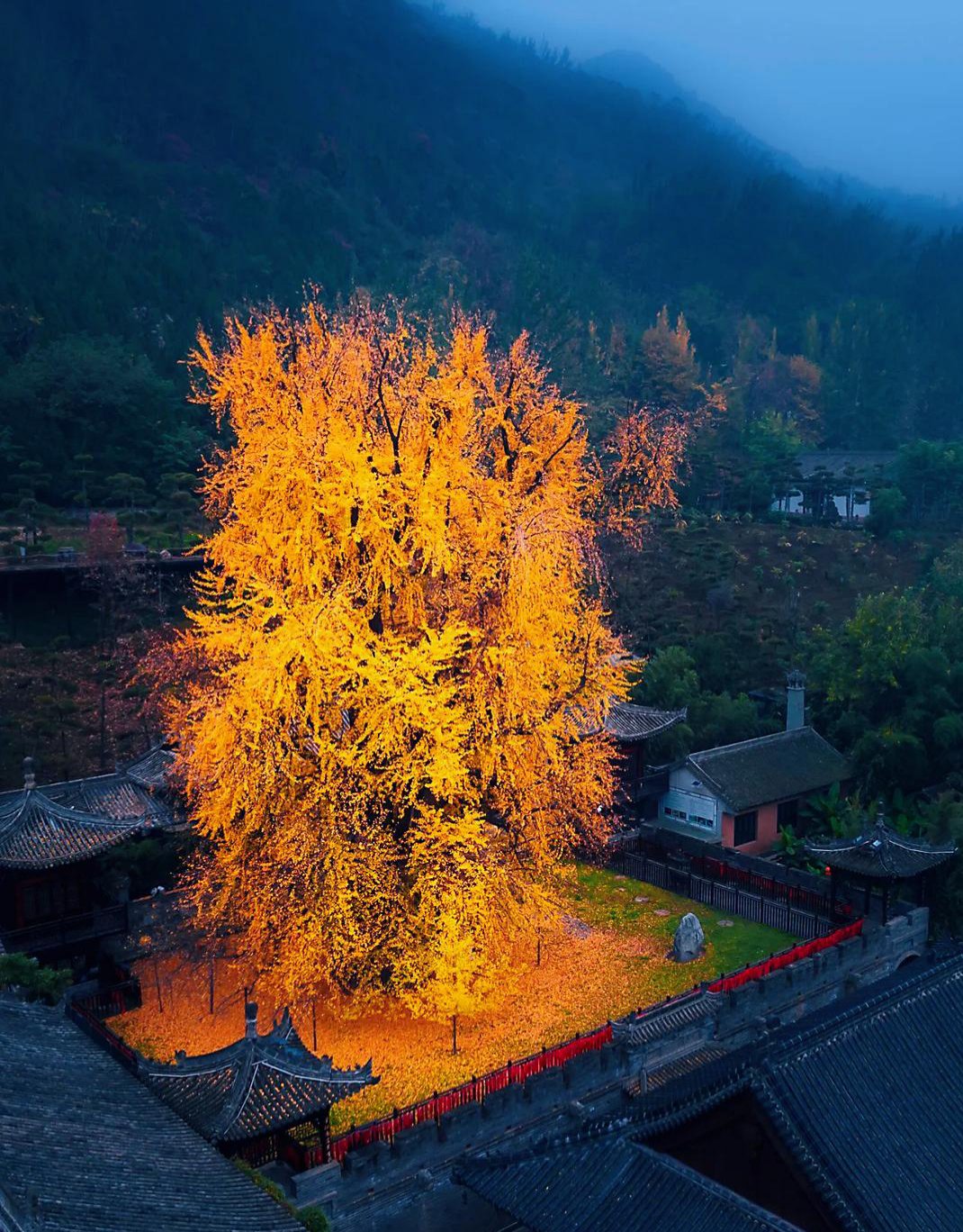 西安古观音禅寺图片