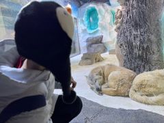 -大连圣亚海洋世界